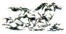 p-cavalo-preto.gif (4980 bytes)